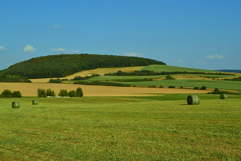 Agriculture