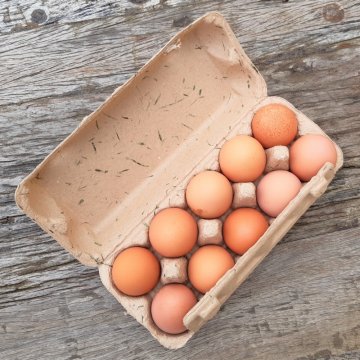 FARM EGGS 10 pcs