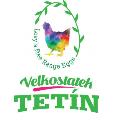 FARMÁŘSKÁ VEJCE 10 ks