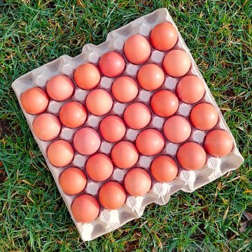 FARM EGGS 30 pcs