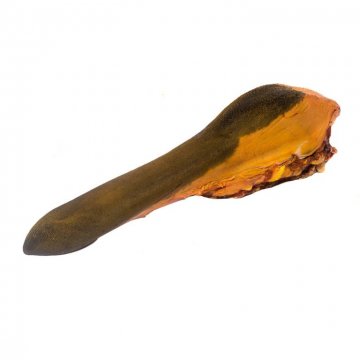 SMOKED TONGUE 1200 g