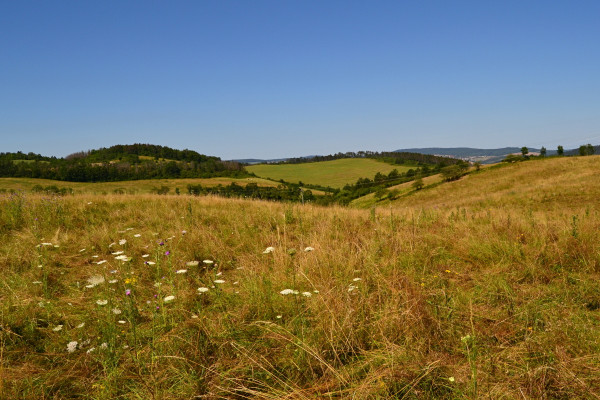 Tetínské farmářské trhy